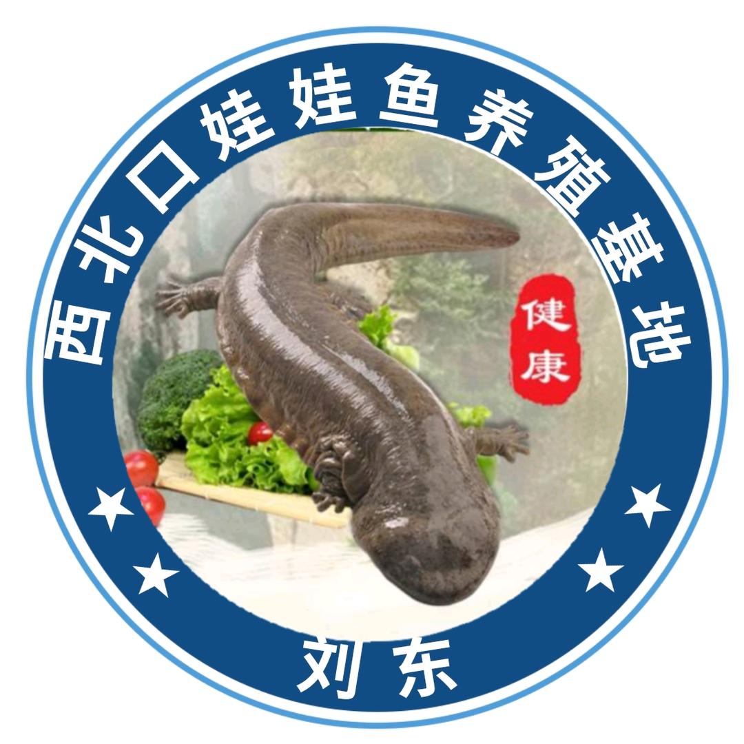 刘东