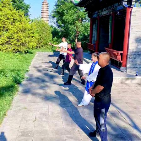 双塔公园形意拳站桩