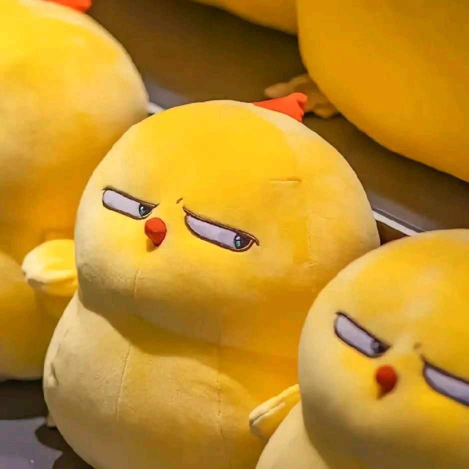 奇了怪了