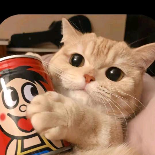 小欢喜