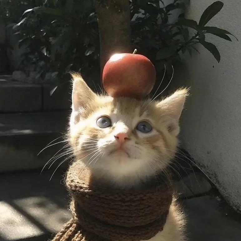超级无敌猫猫侠
