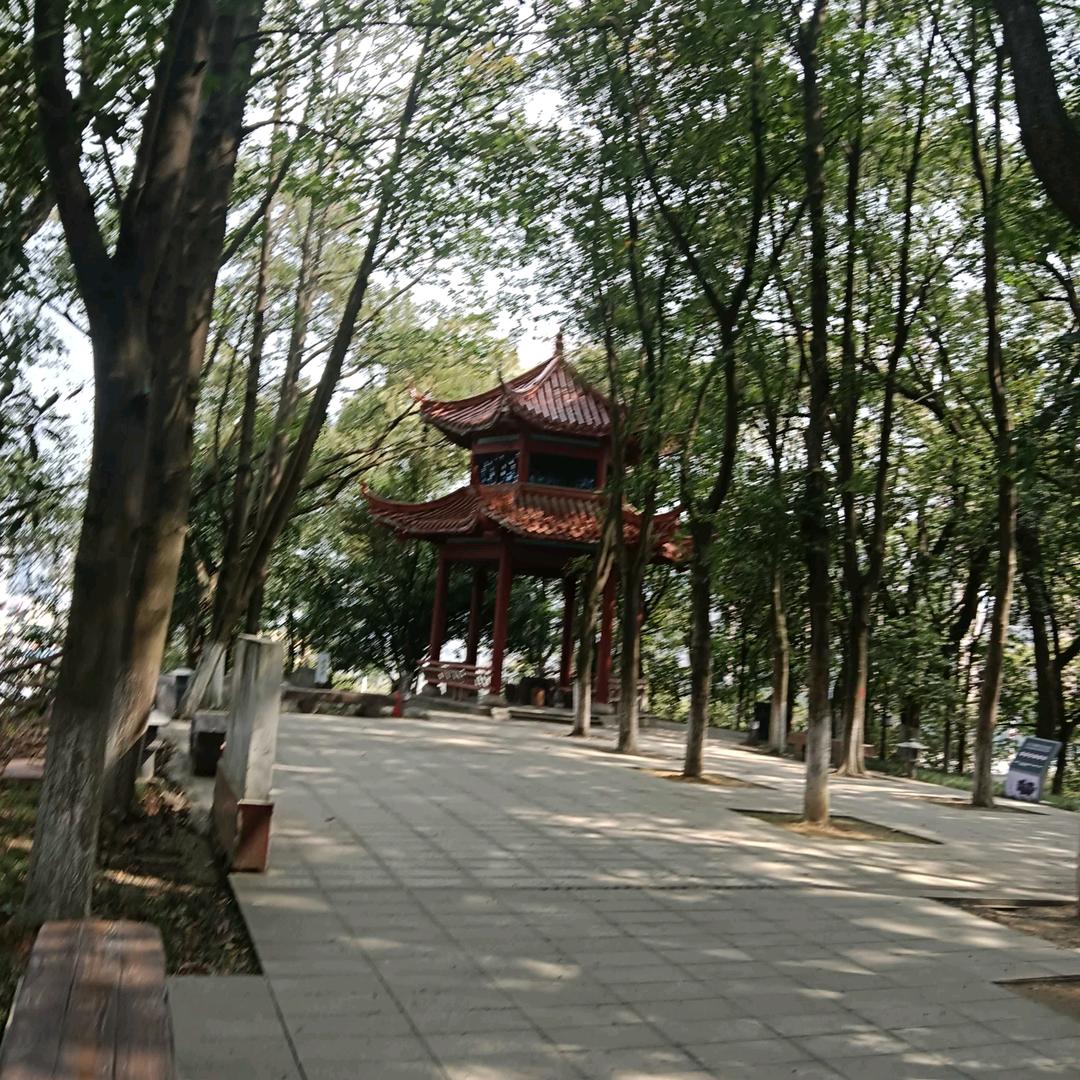 芳心难求
