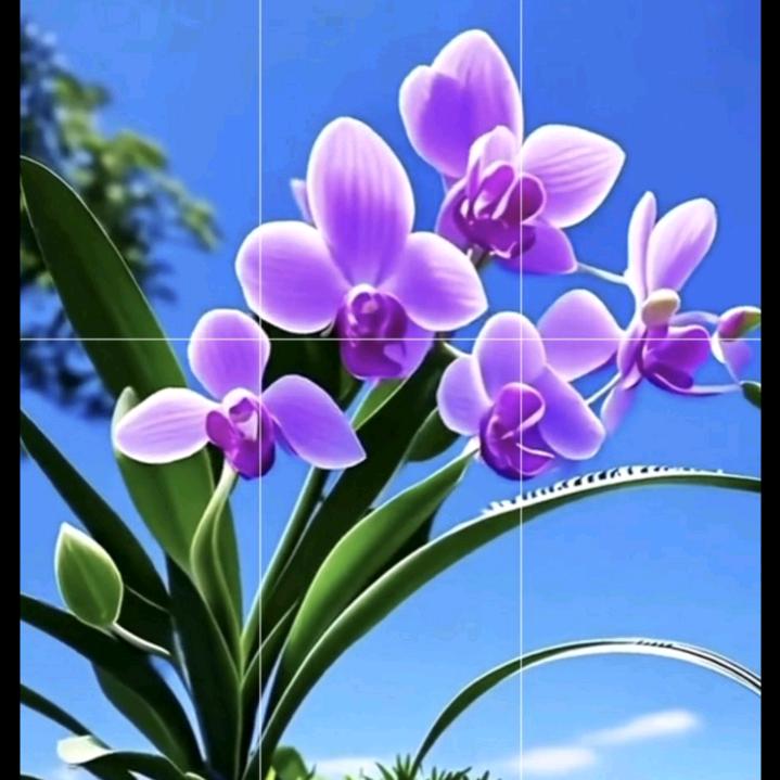 我不怕苦来不怕累😄