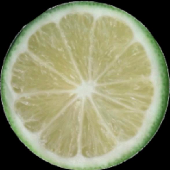 宝爷🍋