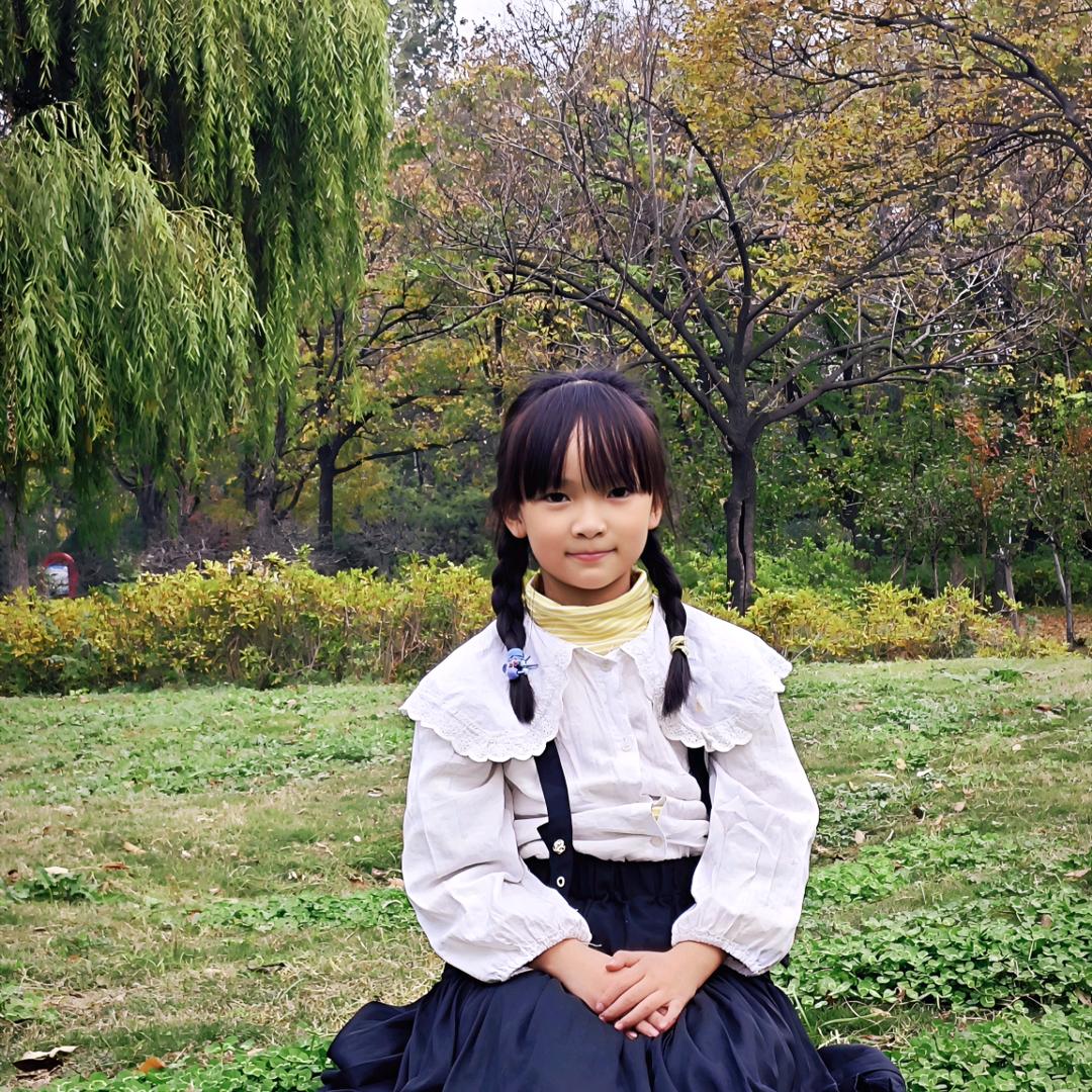 木棉花开