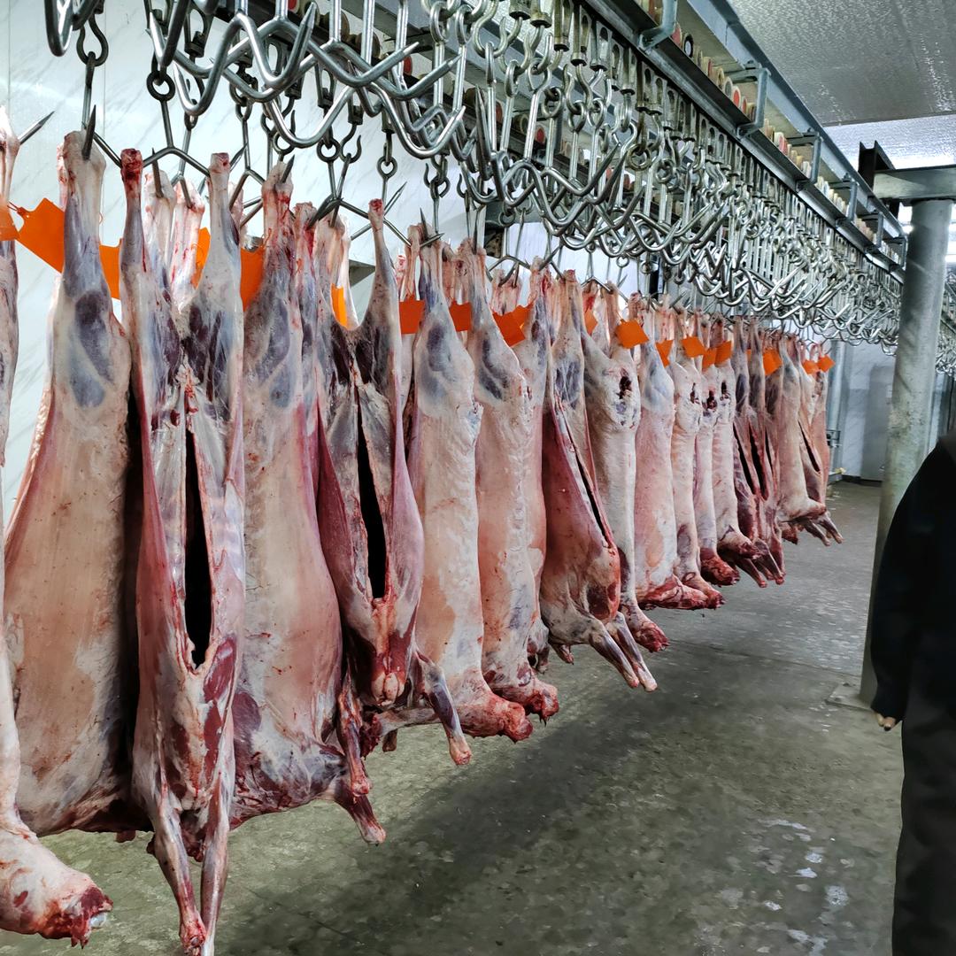 西北牛羊肉
