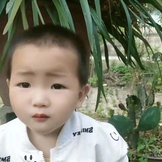 💔一王💕情深᭄ꦿᩚ٭