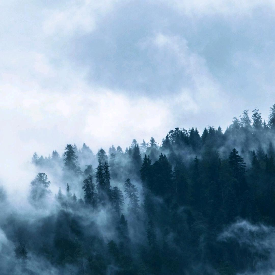 大师兄知识分享