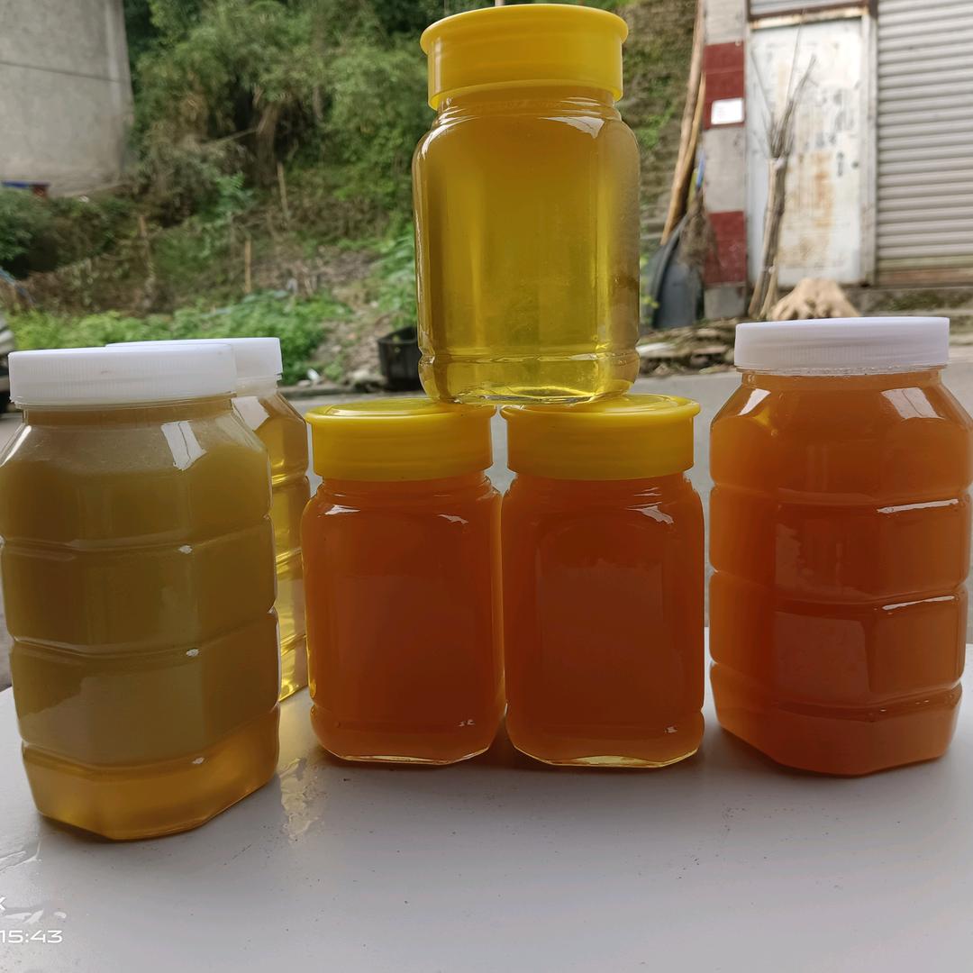 土蜂蜜出售