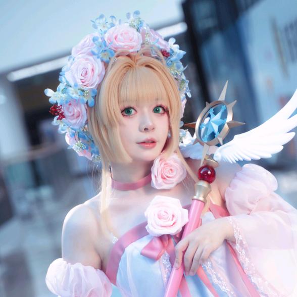 清和菌本菌