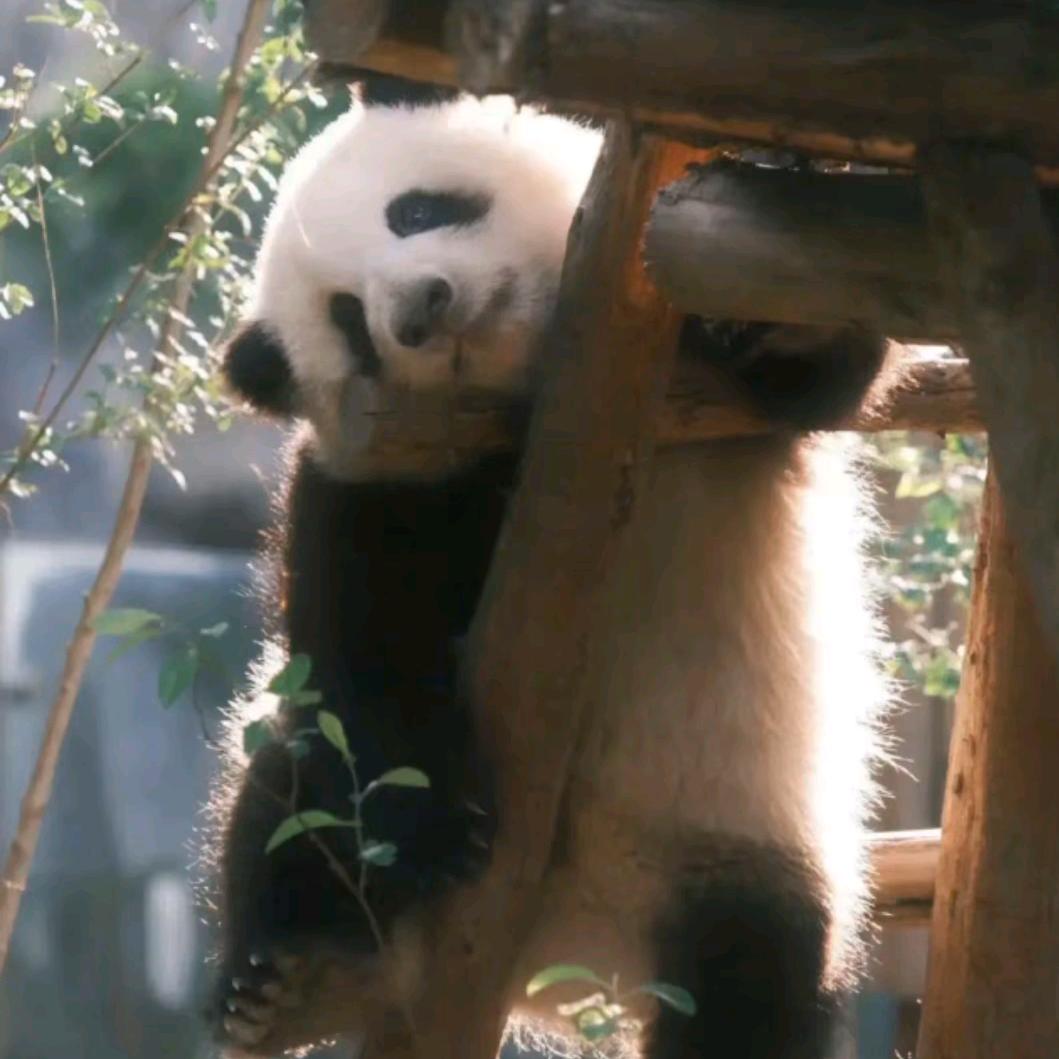 一二
