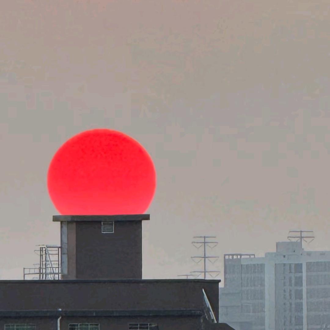 世界如此美妙😊🙃