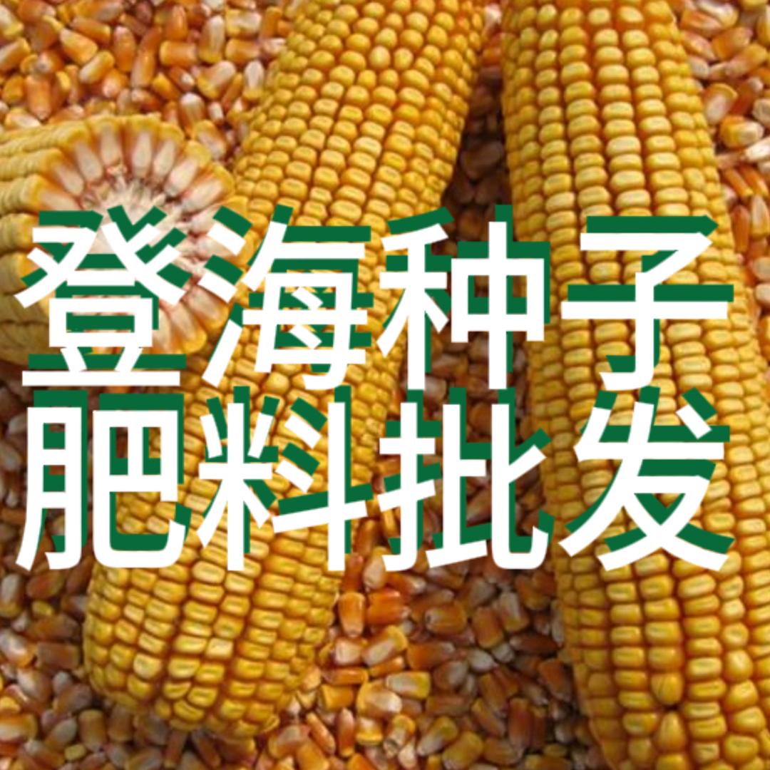 登海种子肥料批发