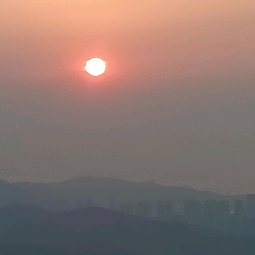 一只流浪已久的狼