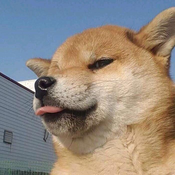 ~热心 市民~🇨🇳