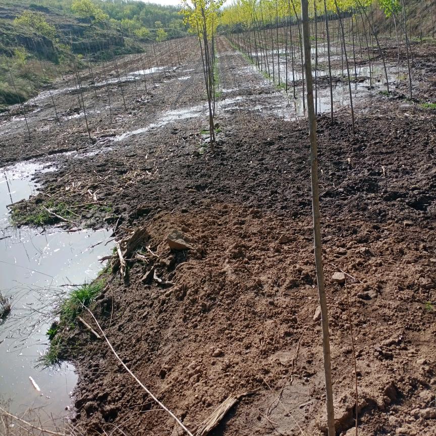 屯留时风三轮车