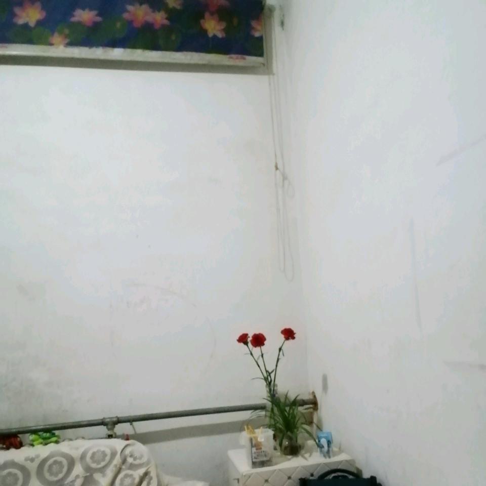 英语English