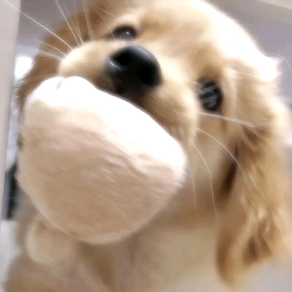 曼