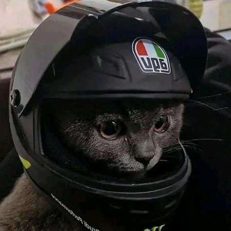 🔥碧水垂钓🔥