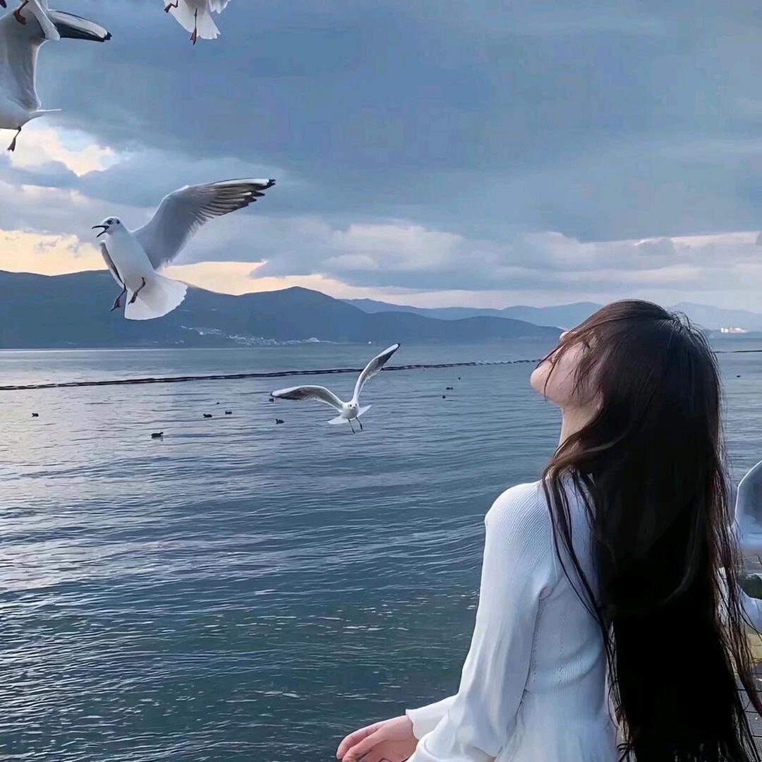 鸿禾养殖场