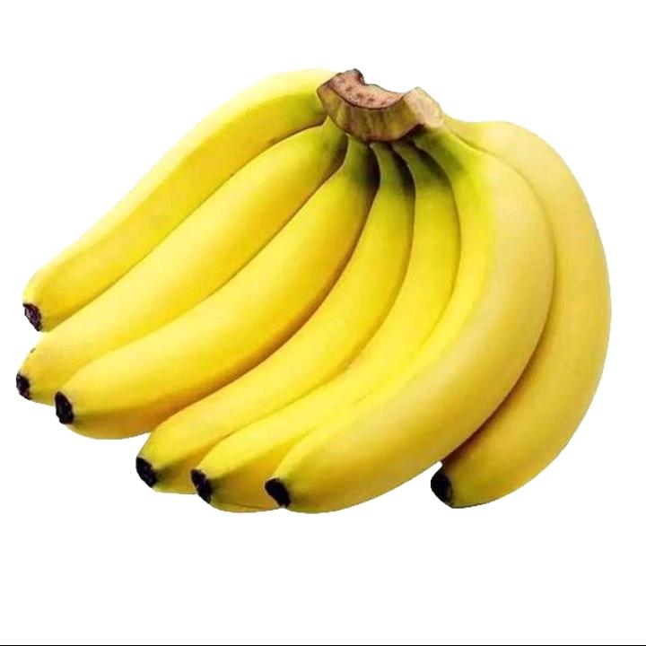 你说这河狸吗？