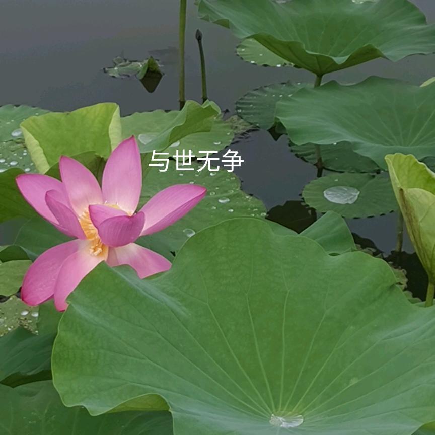 永恒石材有限公司