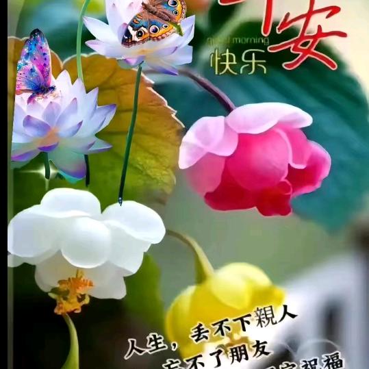 小女香径独徘徊