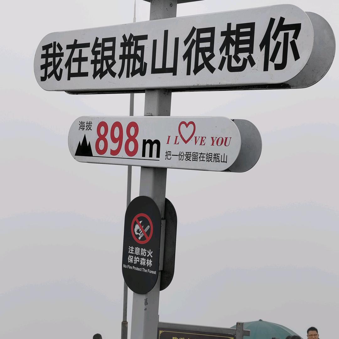 我是一只小小鸟