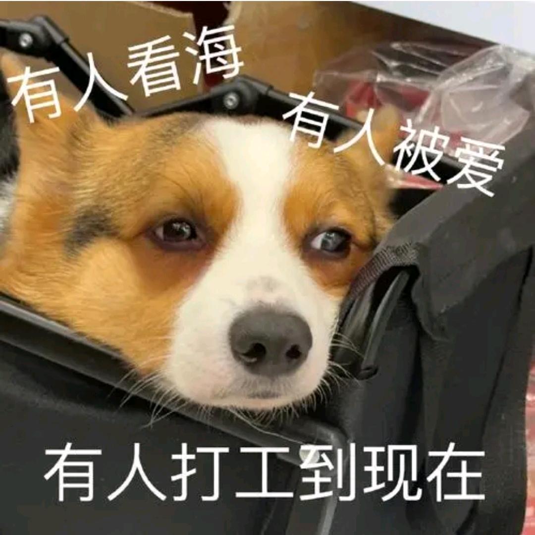 小博爱