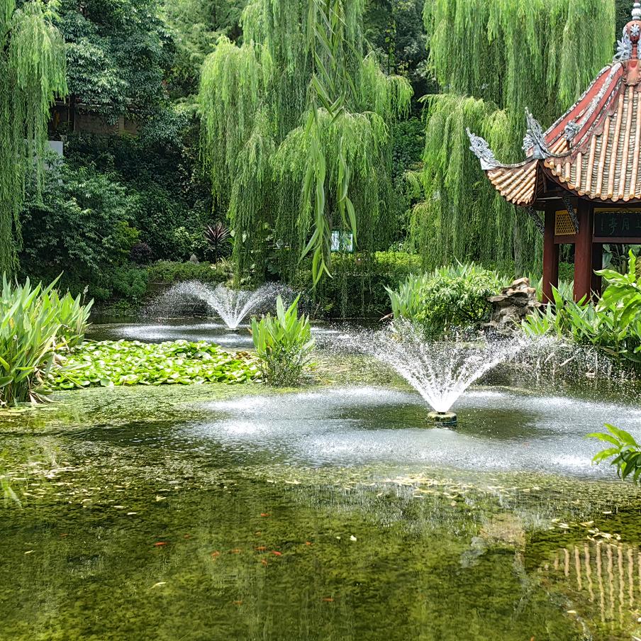 永远的记忆