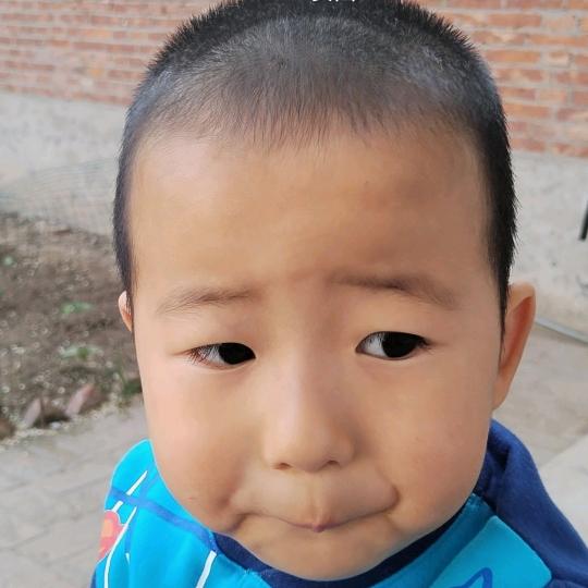 张毅