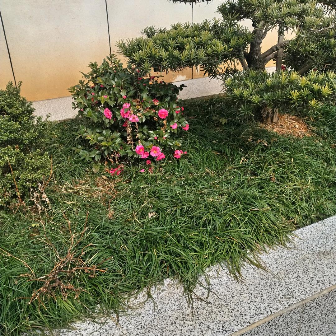 靠谁不如靠自已