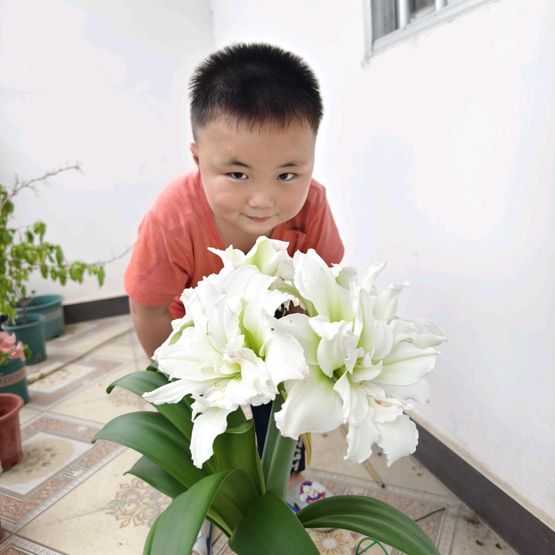 莫振