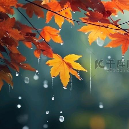 秋雨，