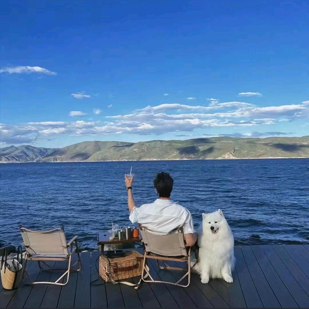 失眠数羊🐑