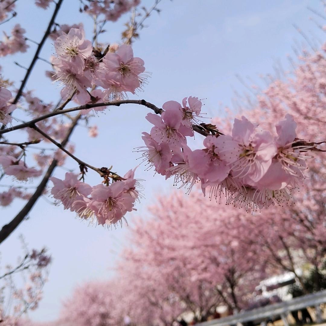 👑👑小瓶子～