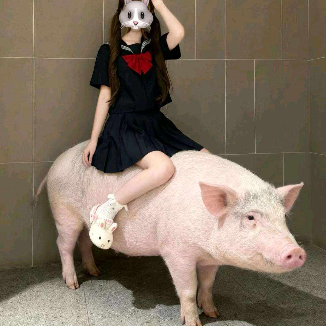 骑猪统治世界