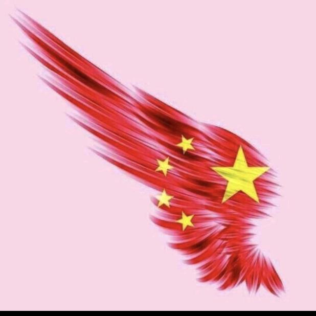 一介布衣🇨🇳
