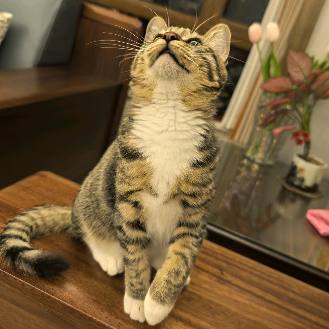 惊蛰