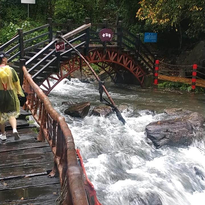 陆捌哥