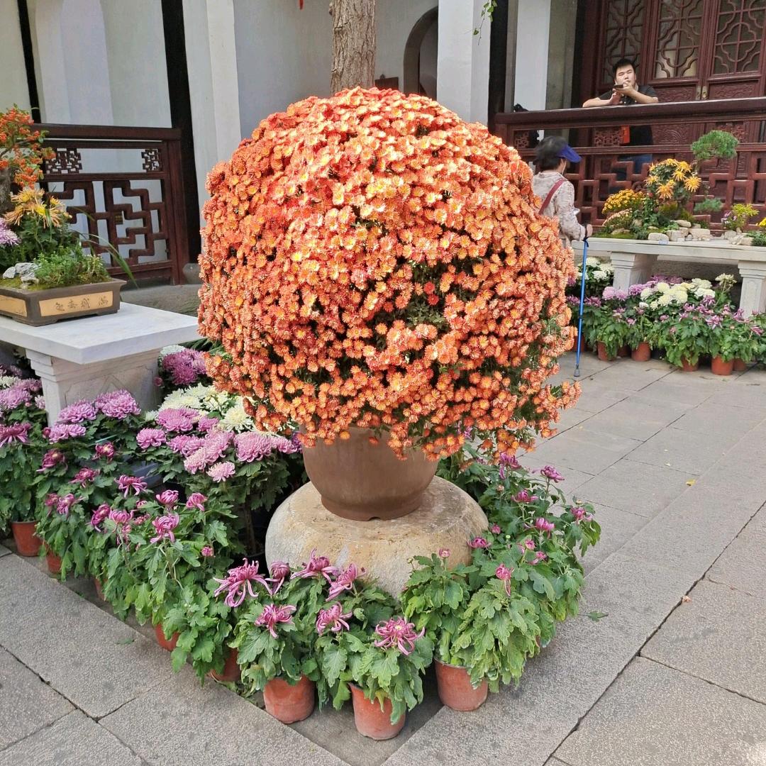 胡姐过好每一天