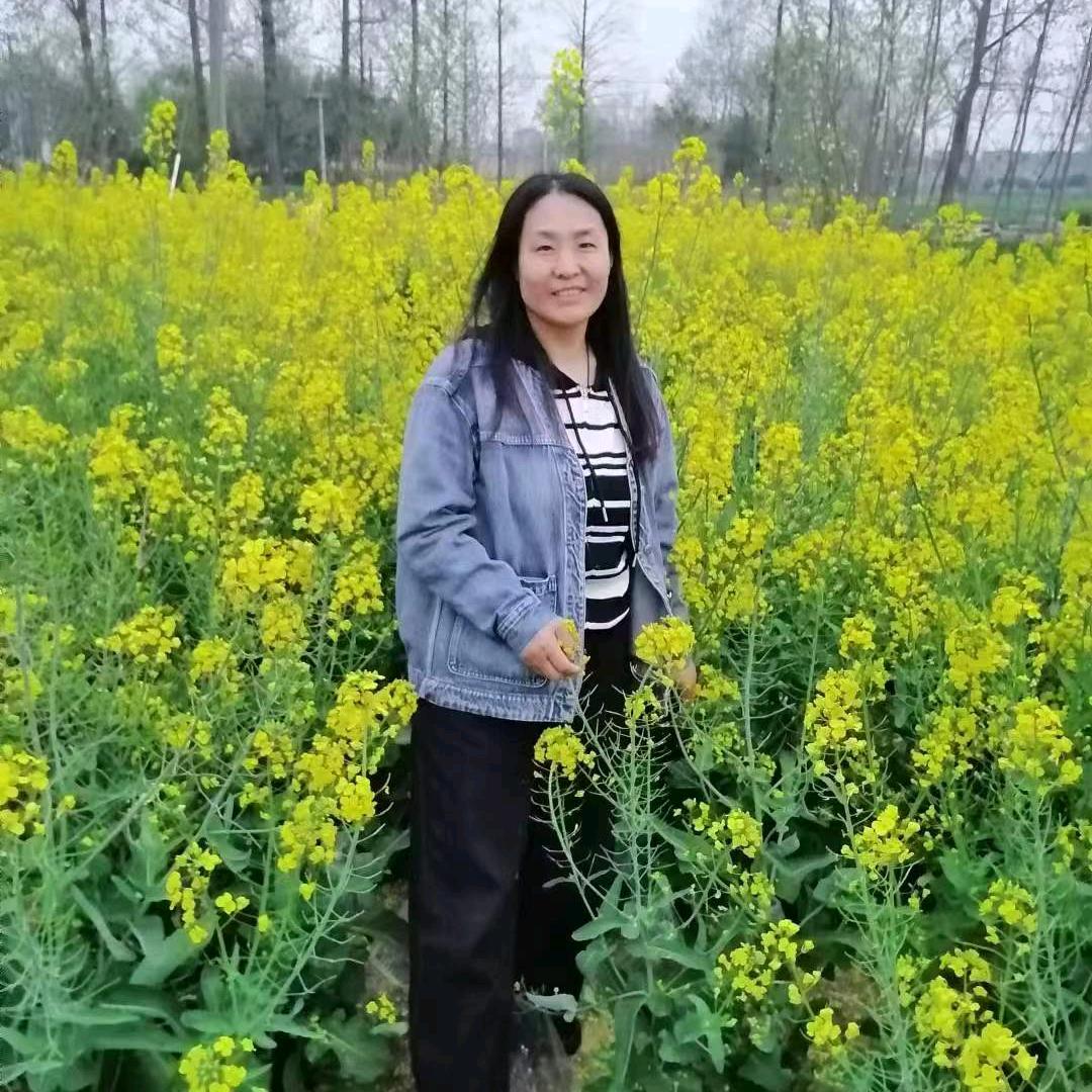 小猪