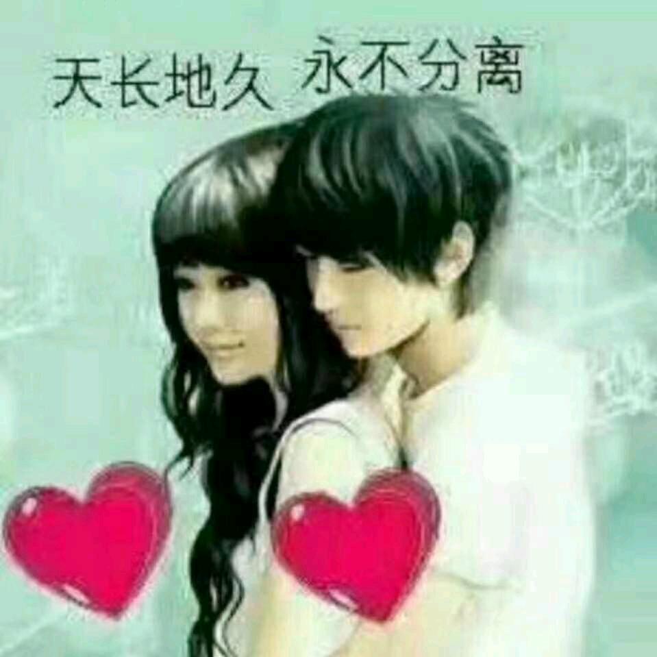 菊姐姐