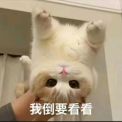 编织袋抓小孩