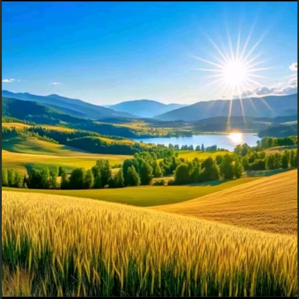 城里的乡下人（致 逺（圆·满））☀️
