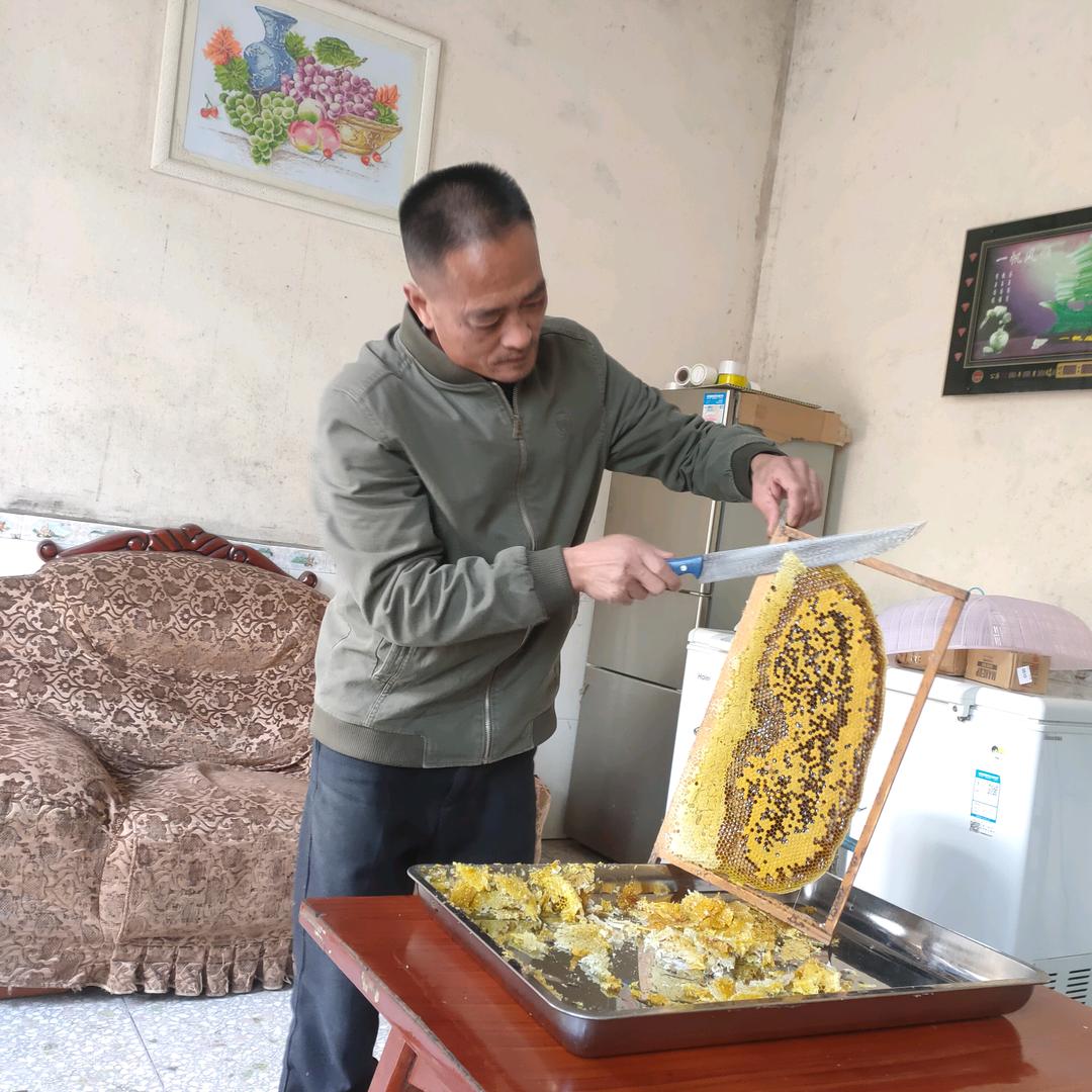 山里人家老黄土蜂蜜