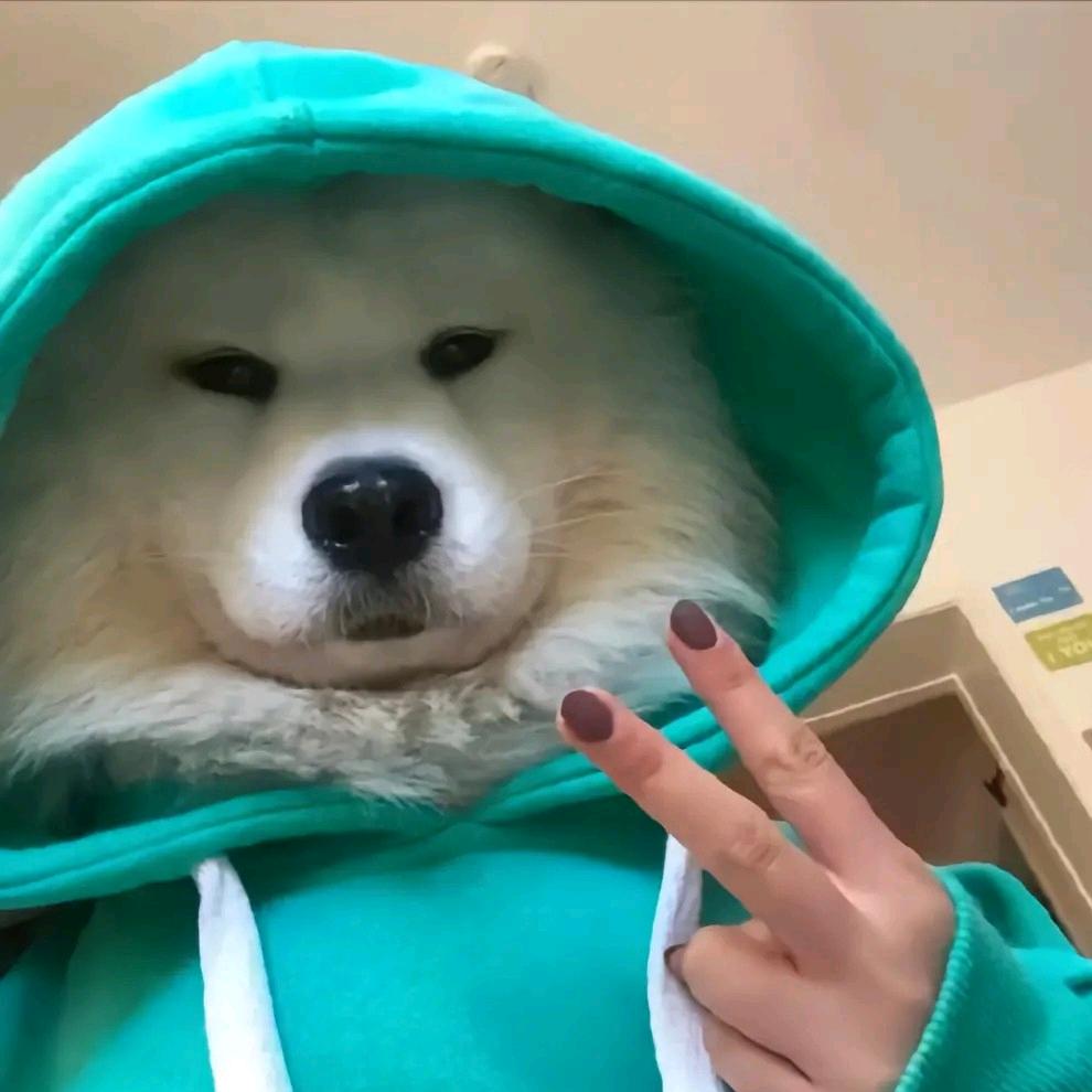 恶龙咆萧