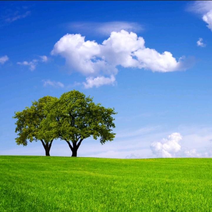 肥城桃科普教育基地@李宝