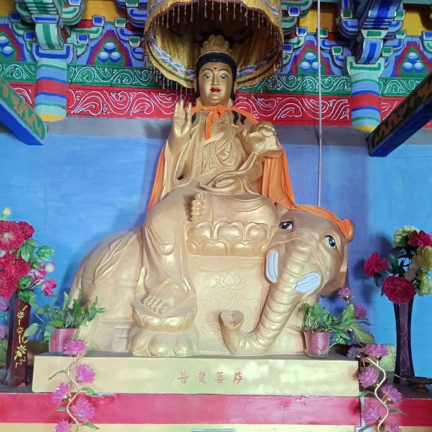 荆总🐯🐯(*^ω^*)总