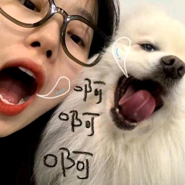 小小